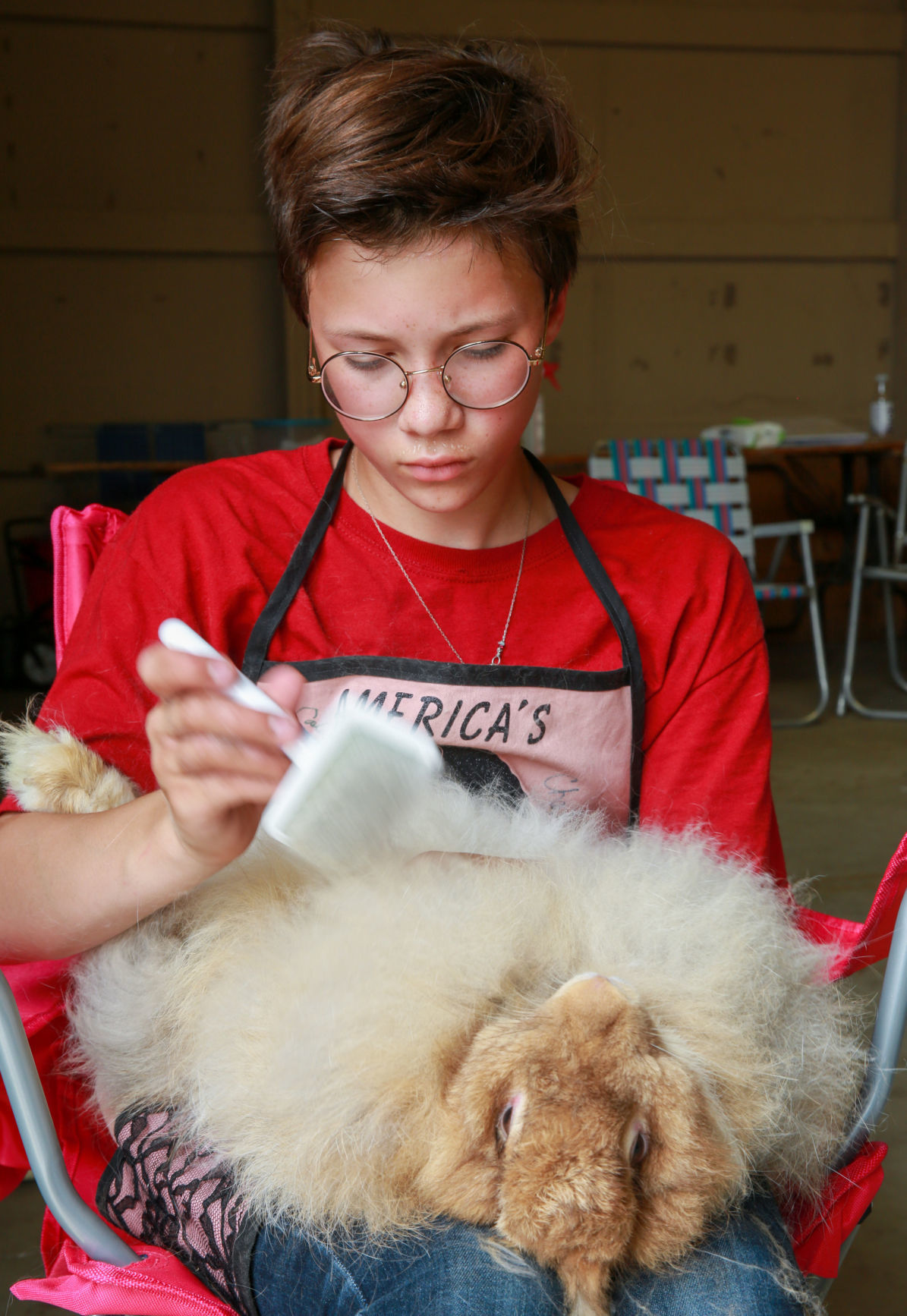 Porter County Fair Bunny